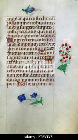 Livre d'heures, Marginalia, ce manuscrit a été créé ca. 1500 à Bruges ou Gand, et a été influencé par le Maître des livres de prières, le Maître du Livre de prières de Dresde, et le Maître des scènes de David dans le bréviaire Grimani. Il a probablement été fait pour une patronne avec une affinité franciscaine, comme suggéré par le contenu du calendrier. Le livre est fortement illuminé avec dix-neuf miniatures, marginalia sur des pages sans miniatures, et vingt-quatre illuminations de calendrier, ces dernières comprenant des signes du zodiaque associés à des illustrations des travaux du mois Banque D'Images