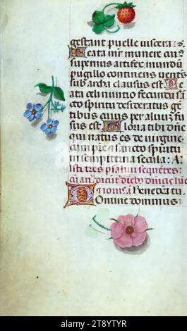 Livre d'heures, ce manuscrit a été créé ca. 1500 à Bruges ou Gand, et a été influencé par le Maître des livres de prières, le Maître du Livre de prières de Dresde, et le Maître des scènes de David dans le bréviaire Grimani. Il a probablement été fait pour une patronne avec une affinité franciscaine, comme suggéré par le contenu du calendrier. Le livre est fortement illuminé avec dix-neuf miniatures, marginalia sur des pages sans miniatures, et vingt-quatre illuminations de calendrier, ces dernières comprenant des signes du zodiaque associés à des illustrations des travaux du mois Banque D'Images