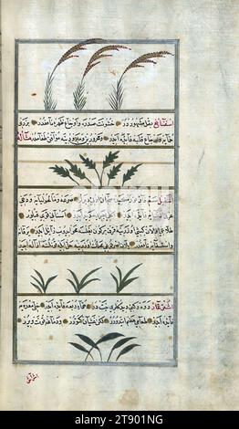 Version turque des merveilles de la création, riz, épinards, oignon sauvage, et l'épine de chameau (?), c'est une version turque ottomane illuminée et illustrée de ʿAjāʾib al-makhlūqāt (merveilles de la création) par Zakarīyā al-Qazwīnī (d. 692 AH / 1293 EC), faite à la demande du vizir Murtaza Paşa (Murtaḍá Pāshā) (fl. XIe siècle AH / XVIIe EC). Le codex a été achevé en 1121 AH / 1717 EC par Muḥammad ibn Muḥammad Shākir Rūzmah-ʾi Nāthānī. Il y a 444 tableaux illustrant le texte. La reliure n'est pas originale du manuscrit Banque D'Images