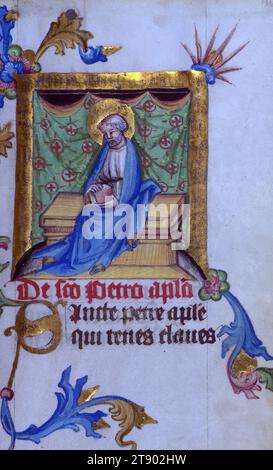Manuscrit enluminé peint à la main d'aspect ancien Les