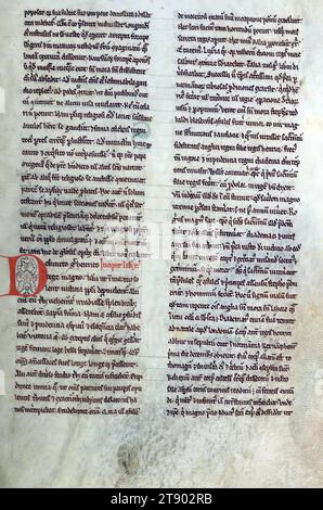 L'Historia Anglorum d'Henri de Huntingdon, décorée de l'initiale D, produite au début du XIIIe siècle, est un important témoignage textuel de l'Historia Anglorum, l'Histoire du peuple anglais, par Henri, archidiacre de Huntingdon. La première version du texte d’Henri de Huntingdon avait une date finale de 1129, bien qu’il y ait eu quatre autres mises à jour contenant des événements jusqu’en 1135, 1138, 1148 et 1154 Banque D'Images