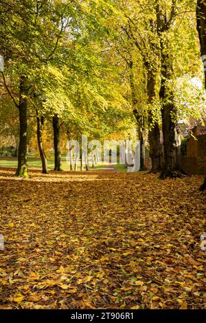 parc public avec des feuilles en automne Banque D'Images