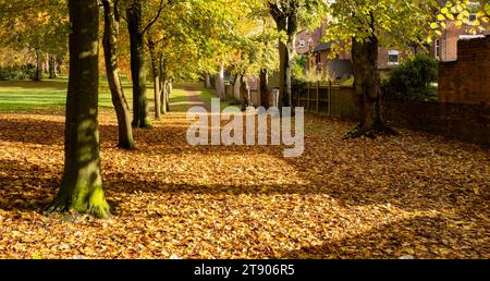 parc public avec des feuilles en automne Banque D'Images