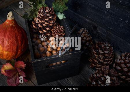 Noisettes entières dans une vieille boîte en bois, casse-noisette, citrouille et pommes de pin, décor automnal Banque D'Images