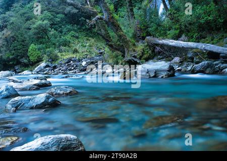 L'eau turquoise limpide des chutes de Thunder Creek dans le parc national Mount Aspiring, Westland District, Nouvelle-Zélande. Il est situé dans la rivière Haast va Banque D'Images