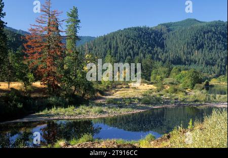 South Umpqua River, Myrtle Creek Canyonville Scenic Tour route, comté de Douglas, Oregon Banque D'Images