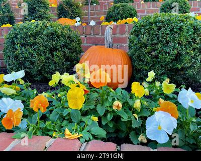 Une citrouille se distingue dans un jardin paysager en terrasse avec un mur de briques et des fleurs colorées. Banque D'Images