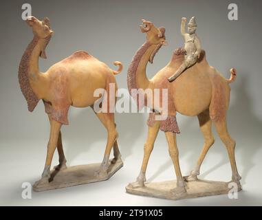 Deux chameaux et un marié (Camel), 618-907, 41 1/2 x 28 1/2 x 12 po. (105,41 x 72,39 x 30,48 cm), faïence aux pigments, Chine, 7e-8e siècle, ce groupe de deux chameaux et leur moteur d'Asie centrale est remarquable par sa grande taille, son modelage expressif et sa couleur forte. Le marié lourdement barbu monte un chameau de Bactrian (à deux bosses), et ils sont accompagnés d'un dromadaire à une bosse. Alors que l'empire chinois s'étendait sur la majeure partie de l'Asie centrale pendant la dynastie Tang (618-907), le besoin de chameaux était énorme. Les chameaux étaient précieux pour leur fiabilité dans le transport des personnes et le commerce Banque D'Images