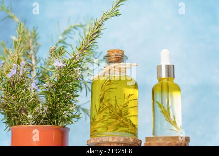 Bouteille en verre et compte-gouttes avec de l'huile essentielle de romarin et de lavande sur des disques en bois à côté d'un pot avec des branches de romarin frais et fond bleu Banque D'Images