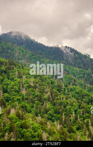 Surplombe le parc national des Great Smoky Mountains en Caroline du Nord par une journée de mauvaise humeur Banque D'Images