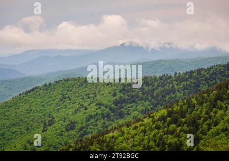 Surplombe le parc national des Great Smoky Mountains en Caroline du Nord par une journée de mauvaise humeur Banque D'Images