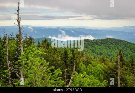 Surplombe le parc national des Great Smoky Mountains en Caroline du Nord par une journée de mauvaise humeur Banque D'Images