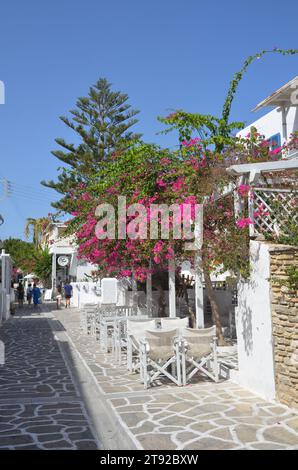 Grèce, Égée, Kyklades, Antiparos île le village et bâtiments néoclassiques Banque D'Images