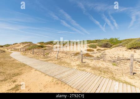 Vue sur la plage de la Pointe du Payre, Jard sur Mer, France en été, Vendée, France Banque D'Images