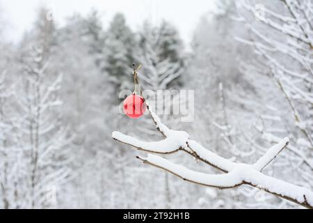 Ornement de Noël rouge, boule de Noël rouge sur une branche d'arbre dans une forêt enneigée. Banque D'Images