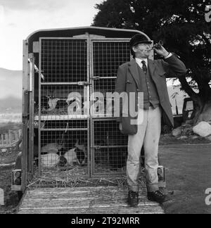 Fox Hunting UK, le Lake District les Blencathra Foxhounds. Barry Todhunter - Maître du Blencathra appelle les chiens disparus à la fin de la chasse. Les chiens peuvent être «perdus» pendant une journée de chasse, ils couvrent souvent 20 mils ou plus. Près de Braithwaite, Cumbria. 2002, années 2000 Angleterre HOMER SYKES Banque D'Images