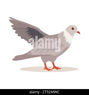 Oiseau pigeon isolé sur fond blanc. Style dessin animé. Illustration vectorielle Illustration de Vecteur