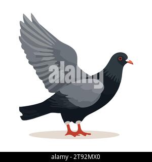 Oiseau pigeon isolé sur fond blanc. Style dessin animé. Illustration vectorielle Illustration de Vecteur