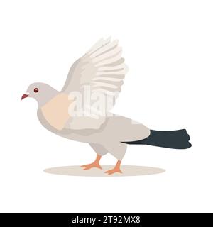 Oiseau pigeon isolé sur fond blanc. Style dessin animé. Illustration vectorielle Illustration de Vecteur