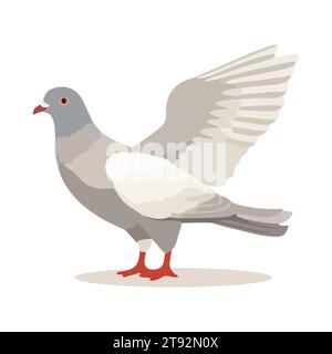 Oiseau pigeon isolé sur fond blanc. Style dessin animé. Illustration vectorielle Illustration de Vecteur