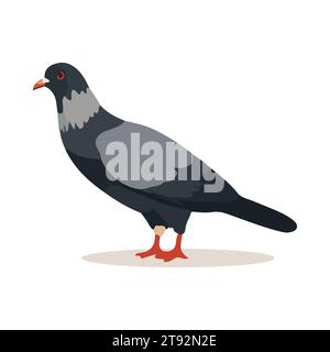 Pigeon de bande dessinée isolé sur fond blanc. Style dessin animé. Illustration vectorielle Illustration de Vecteur