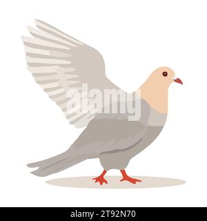 Pigeon de bande dessinée isolé sur fond blanc. Style dessin animé. Illustration vectorielle Illustration de Vecteur