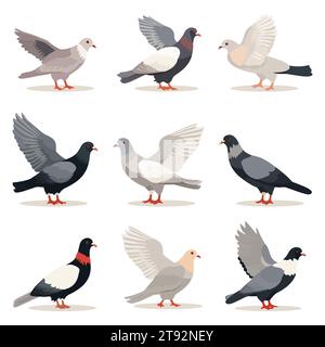 Ensemble de dessin animé d'oiseau pigeon volant et assis. Conception de personnages de dessins animés plats. Illustration vectorielle isolée sur fond blanc Illustration de Vecteur