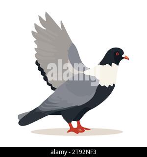 Pigeon de bande dessinée isolé sur fond blanc. Style dessin animé. Illustration vectorielle Illustration de Vecteur