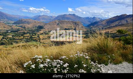 shotover, terrain plat et terrain de dalefield jusqu'au lac hayes, à partir du pic coronet. près de queenstown sur l'île sud de la nouvelle-zélande Banque D'Images