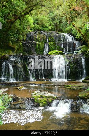 joli purakanui tombe dans une forêt de hêtres argentés et de podocarpes dans la région côtière de catlins dans le southland, sur l'île sud de la nouvelle-zélande Banque D'Images