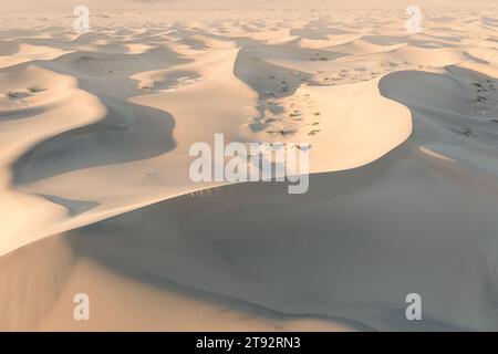 Vue panoramique sur le motif de sable d'ondulation naturelle au lever du soleil à. Désert matinal. Vue de dessus des dunes de sable, aérienne. Réchauffement climatique Banque D'Images
