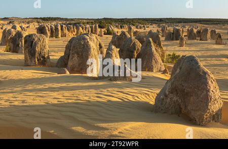 Les Pinnacles calcaires, parc national de Nambung, Banque D'Images