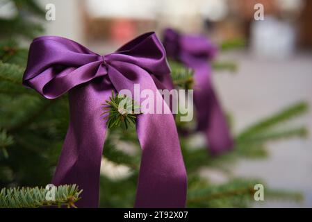 Plongez dans l'allure d'un ruban de tissu violet ornant gracieusement la branche d'un pin. Le soft focus sur le fond urbain, dépourvu o Banque D'Images