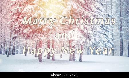 Joyeux Noël et joyeux nouvel an lettres blanc beige design. Épinettes de pin couvert de neige, forêt, hiver, soleil, jour. Chute de neige flocons de neige chute de neige. Arrière-plan du texte. Banque D'Images