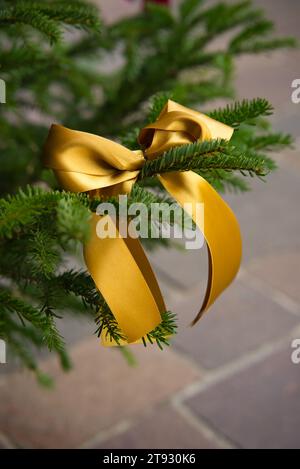 Plongez dans l'esprit des fêtes avec une vue sur un sapin de Noël orné d'un ruban d'or radieux, sur fond de brun clair et W. Banque D'Images