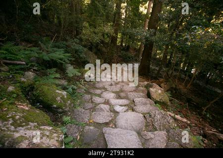 Section de la légendaire route Kumano Kodo le long de pavés de pierre à Wakayama, au Japon. Banque D'Images