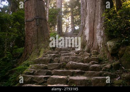 Section de la légendaire route Kumano Kodo le long de pavés de pierre à Wakayama, au Japon. Banque D'Images