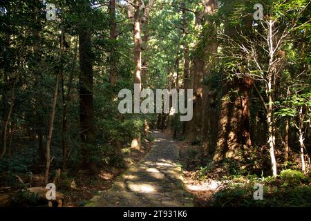 Section de la légendaire route Kumano Kodo le long de pavés de pierre à Wakayama, au Japon. Banque D'Images