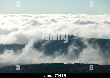 Schierke, Allemagne. 22 novembre 2023. Les nuages dérivent au-dessus du Wurmberg en Basse-Saxe. Le paysage dans le parc national du Harz sur le Brocken est couvert de cerise. Des cristaux de glace bizarres se forment sur les herbes et les plantes. Les températures glaciales créent ce spectacle dans les montagnes du Harz, alors que la neige est encore loin. Crédit : Matthias Bein/dpa/Alamy Live News Banque D'Images
