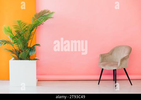 Chaise et plante verte à l'intérieur de la chambre rose orange Banque D'Images