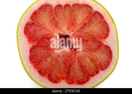 Photo en gros plan d'une coupe transversale d'agrumes pomelo pamplemousse coupée en deux montrant une texture juteuse Banque D'Images