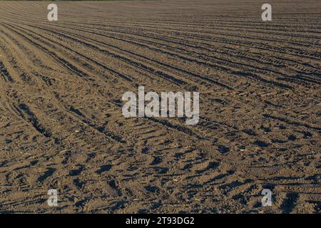 Champs de terre noire pour les rangées labourées, plantées et hilling. Texture au sol. Banque D'Images