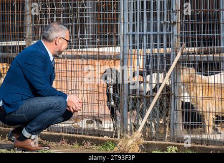 Yambol Bulgarie 21 novembre 2023 : l'expatriée Claire Starling du Yorkshire a organisé une manifestation pour les droits des animaux après qu'un doigt de sa main droite s'est mordu lors d'une visite au refuge de Yambol. Claire qui a dit qu'elle nourrissait les chiens quand l'incident se produit les chiens sont affamés et en très mauvais état. Les militants des droits des animaux, y compris la communauté anglaise, se sont rassemblés pour protester contre l’état du refuge municipal pour chiens. Les chiens vivant dans leurs excréments exposés aux éléments météorologiques les chiens meurent de coup de chaleur et de gelures. Clifford Norton Alamy Live News Banque D'Images