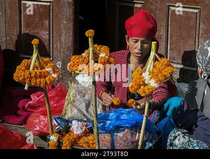 Katmandou, Bagmati, Népal. 22 novembre 2023. Une femme prépare un parapluie en bambou décoré de guirlandes de fleurs pour les rituels religieux en célébration de Tulasi Vivaha à Katmandou, Népal, le 22 novembre 2023. Les gens célèbrent le Tulasi Vivaha, une fête hindoue, dans laquelle un mariage cérémoniel symbolique a lieu entre une plante tulasi ou basilic sacré (représentant la déesse Lakshmi) et un shaligrama ou une branche d'amla (représentant le Seigneur Vishnu) le jeudi 23 novembre. Tulasi Vivaha signifie la fin de la mousson, et le début de la saison des mariages dans l'hindouisme. (Image de crédit : © Sunil Sha Banque D'Images