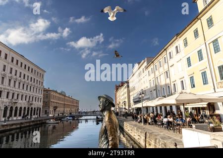 TRIESTE, ITALIE – 19 novembre 2023 : des mouettes entourent la statue de l'écrivain irlandais James Joyce sur le pont de Ponte Rosso à Trieste, en Italie Banque D'Images