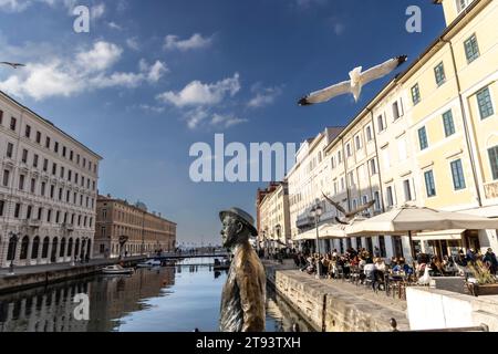 TRIESTE, ITALIE – 19 novembre 2023 : des mouettes entourent la statue de l'écrivain irlandais James Joyce sur le pont de Ponte Rosso à Trieste, en Italie Banque D'Images