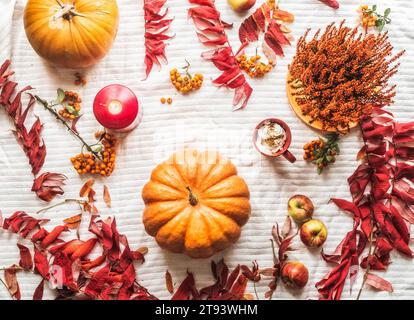 Composition de pose plate d'automne avec citrouilles, feuilles rouges et oranges, bougie, chocolat chaud à la crème, pommes sur fond textile blanc. Confortable saisonnier Banque D'Images