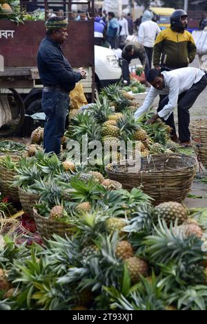 Guwahati, Guwahati, Inde. 22 novembre 2023. Les gens achètent des pommes de pin aux fruits de saison dans un marché quotidien à Guwahati Assam Inde le mercredi 22 novembre 2023 (image de crédit : © Dasarath Deka/ZUMA Press Wire) À USAGE ÉDITORIAL SEULEMENT! Non destiné à UN USAGE commercial ! Banque D'Images