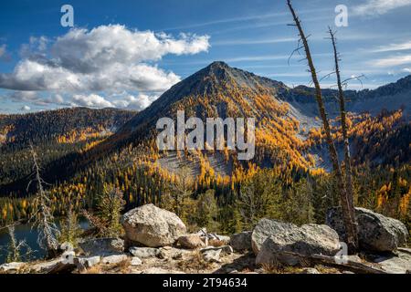 WA23718-00...WASHINGTON - colline couverte de mélèze au-dessus du lac Eagle dans la forêt nationale Okanogan - Wenatchee. Banque D'Images