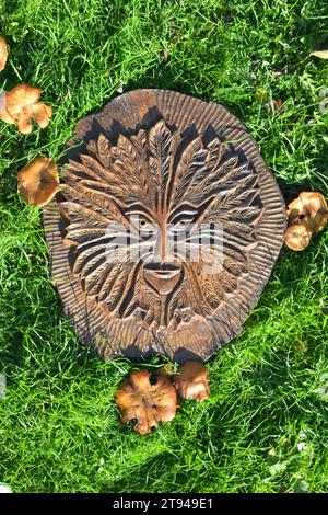 Masque Pagan Green Man représenté dans la sculpture en bois de chêne, formé à partir de chêne tombé, entouré de champignons. Sculpté par Don Minnaar Banque D'Images